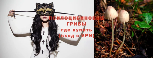 крисы Михайловка