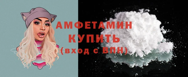 шишки Михайловск