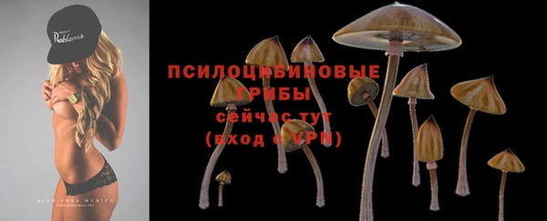 шишки Михайловск