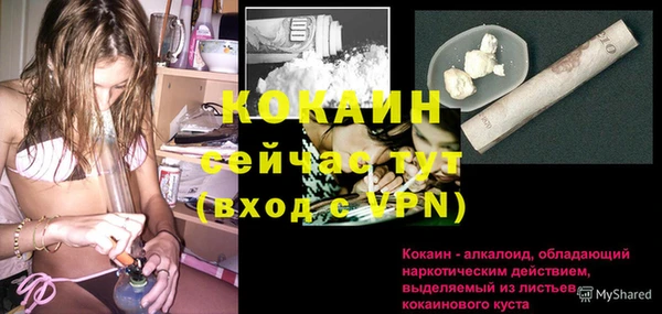 шишки Михайловск