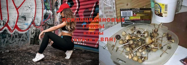 jwh Олёкминск