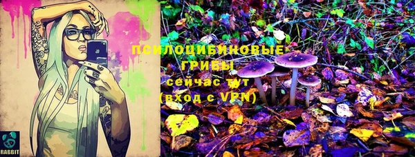 шишки Михайловск