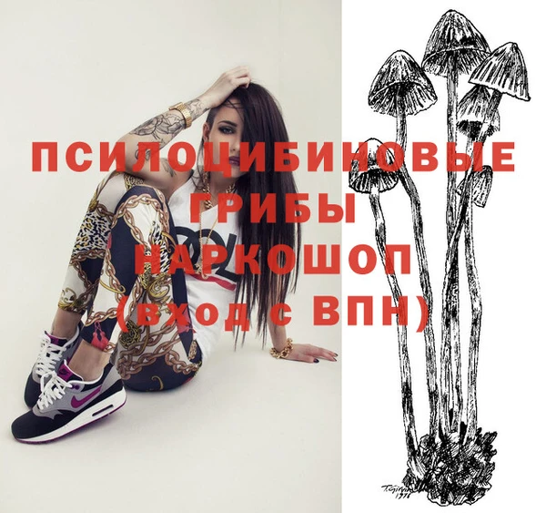 марки lsd Оленегорск