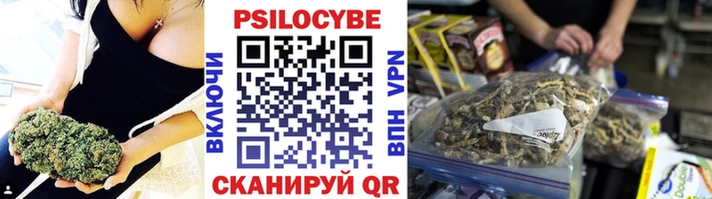 нарко площадка состав  Щучье  Галлюциногенные грибы мицелий 
